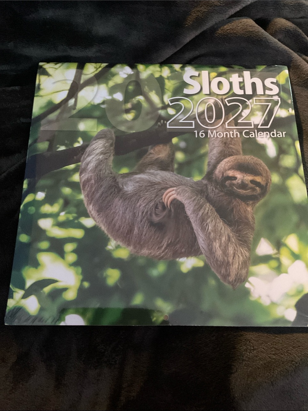 2027 Sloth Calendar